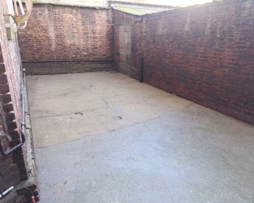 IMG_20260317_105440 (1)